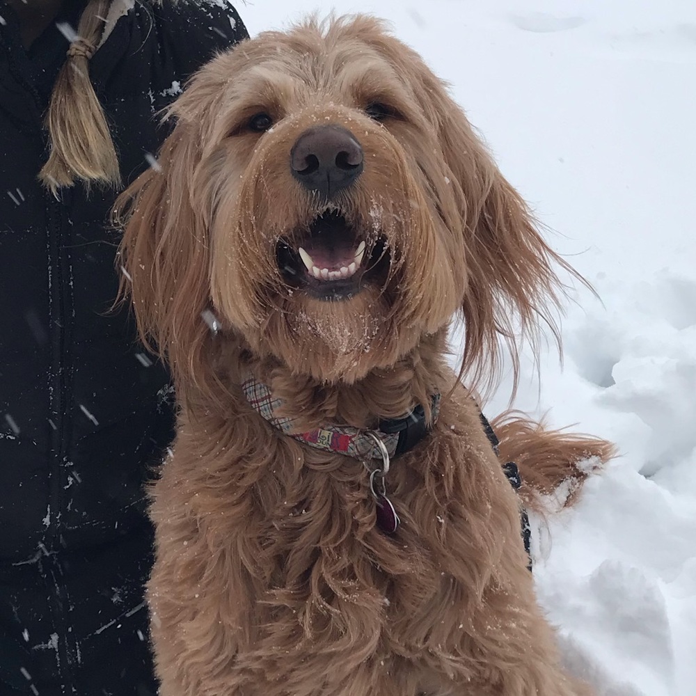 Meet your Posher, Katie